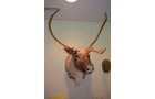 Property photo 70 - Personal Property Auction, Tractor & Implements, Cars, Lawn & Garden, Hunting & Fishing, Guns, Antiques & Collectibles, Household